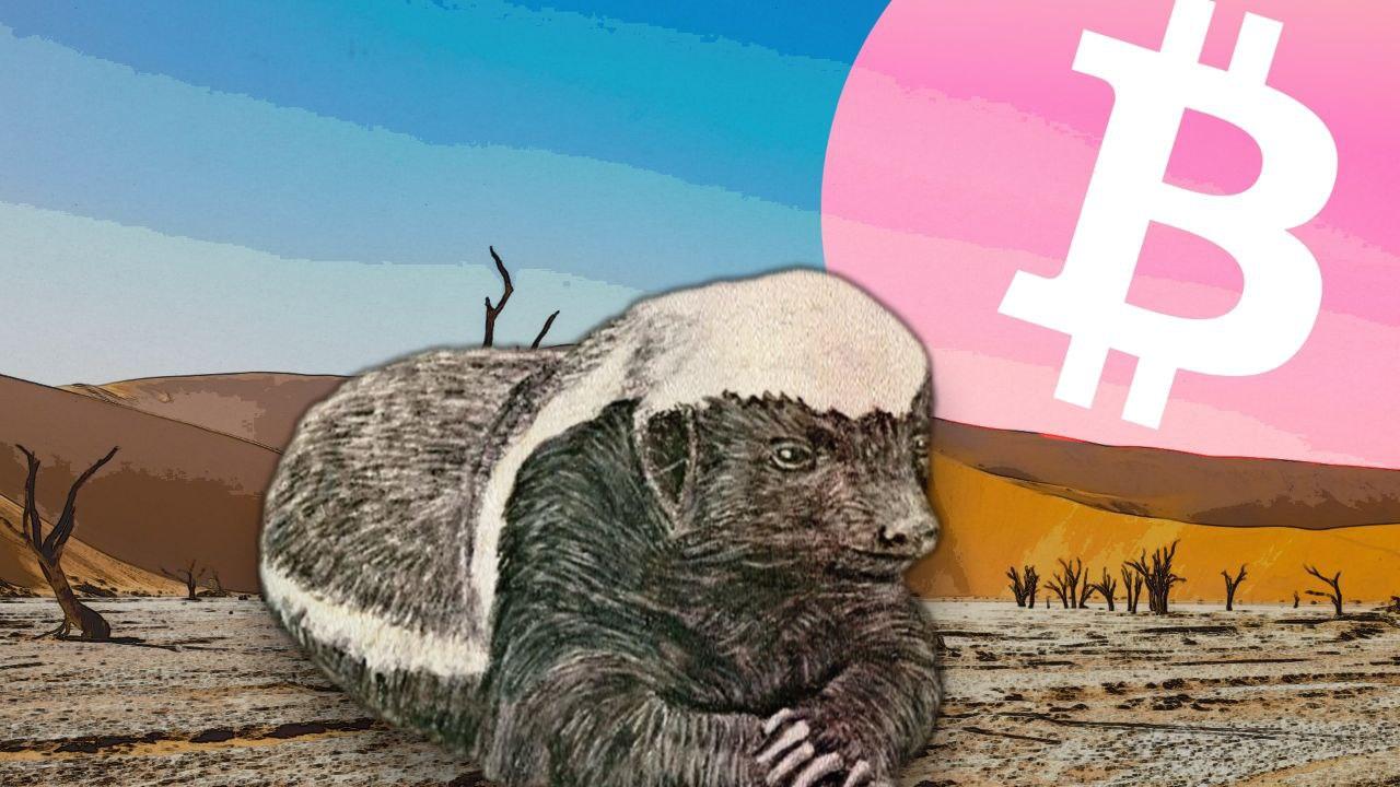 Bitcoin’s Wild Side – Honeybadger Doesn’t Care