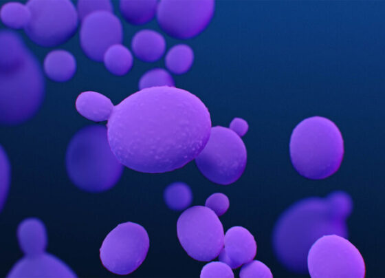 An illustration of Candida auris. Appears as purple bubbles on a dark blue background.