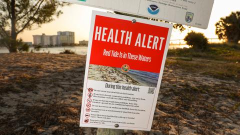 Florida residents complain of burning eyes as toxic red tide flares up