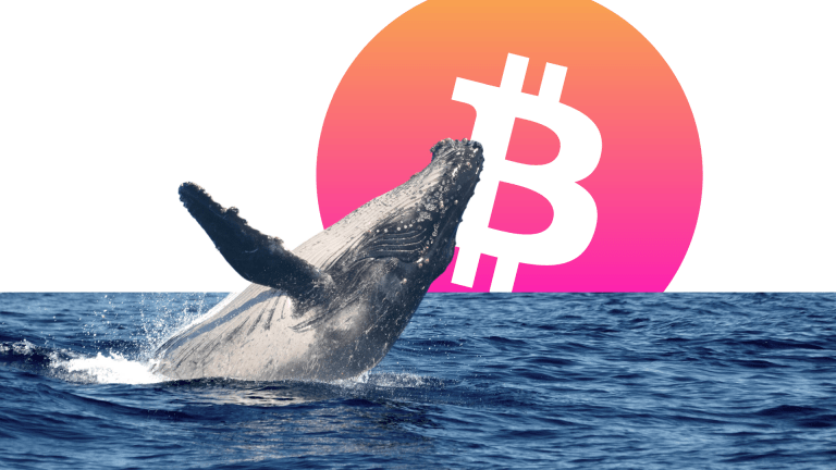 ‘Buying The Dip’: Third Largest Bitcoin Whale Buys $29 Million 