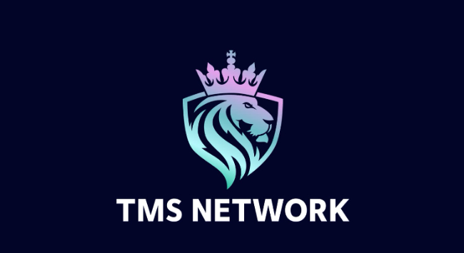 Why Earn Less With Stacks (STX) When TMS Network (TMSN) Is Giving 100x Return To Investors