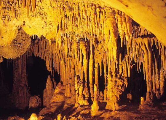 A photo of the inside of cave with stalagmites and stalactites in a yellow light.