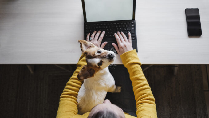 Pets and people bonded during the pandemic. But owners were still stressed and lonely