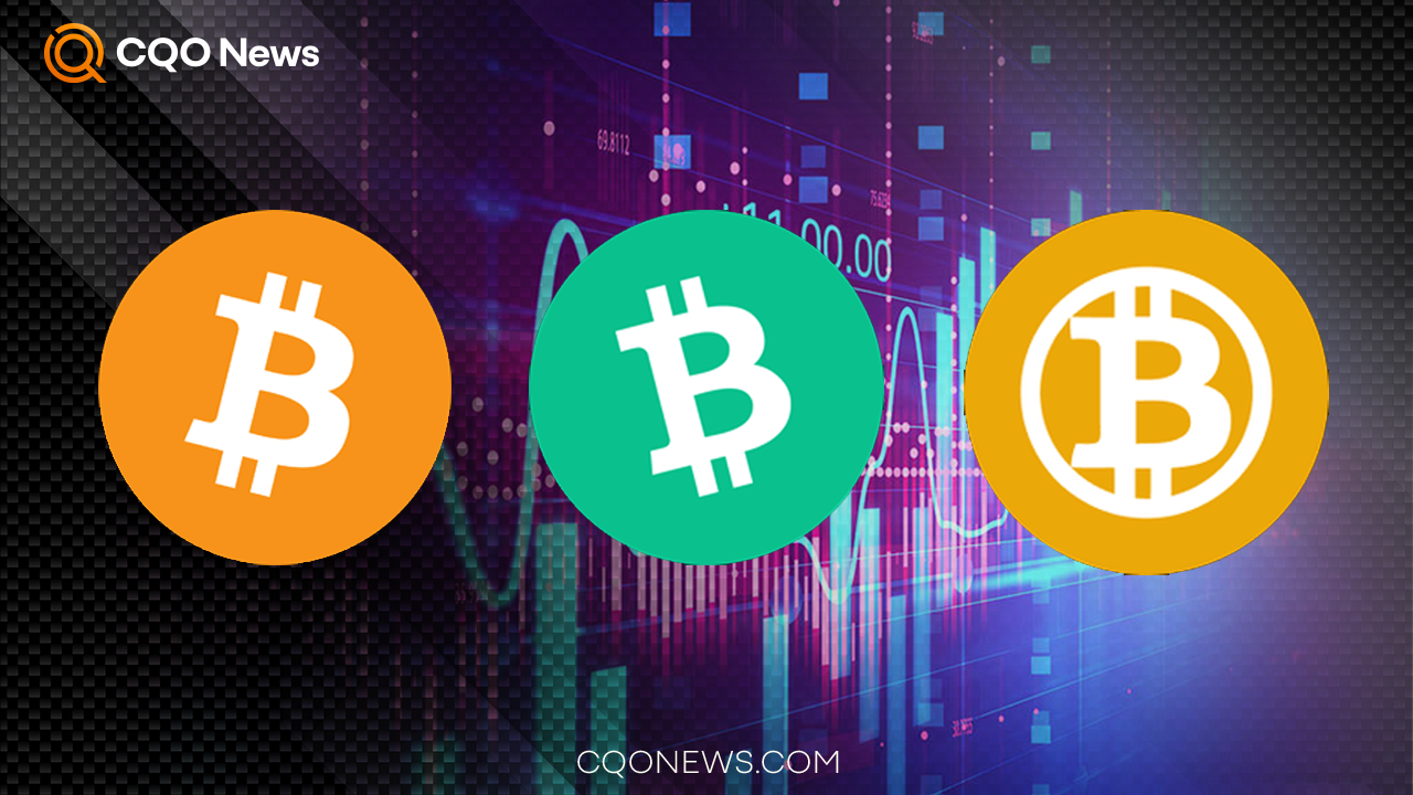 Will Bitcoin Cash Rise or Decrease?