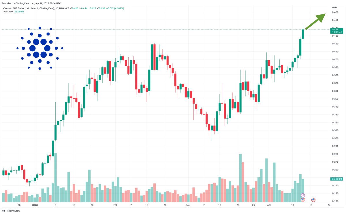 Cardano Price Forecast as $500 Million Trading Volume Comes In – Are Whales Buying?