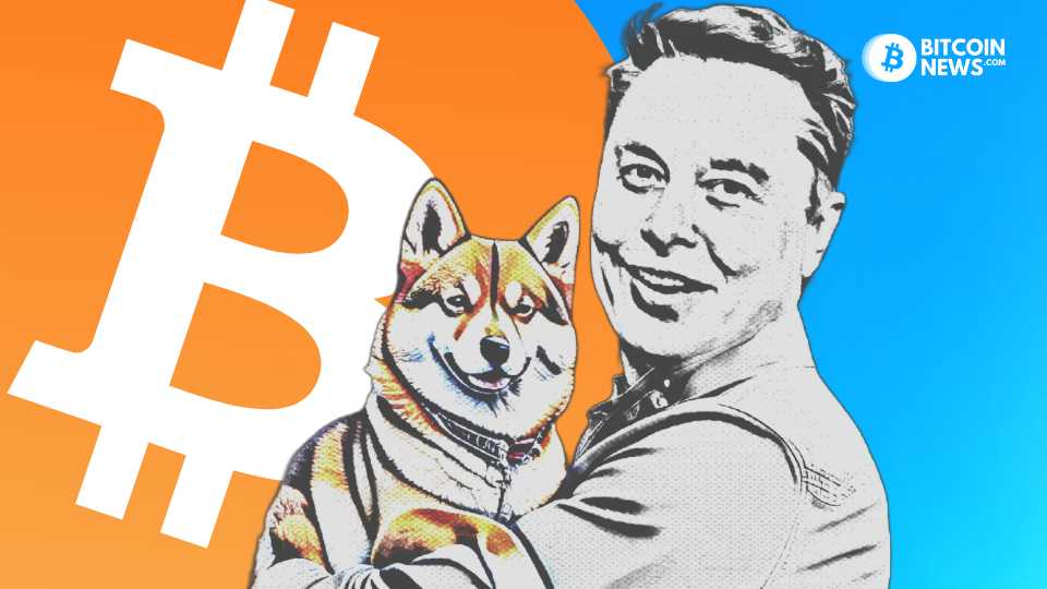 The Economics of Dogecoin And Why It’s a Dangerous Bet