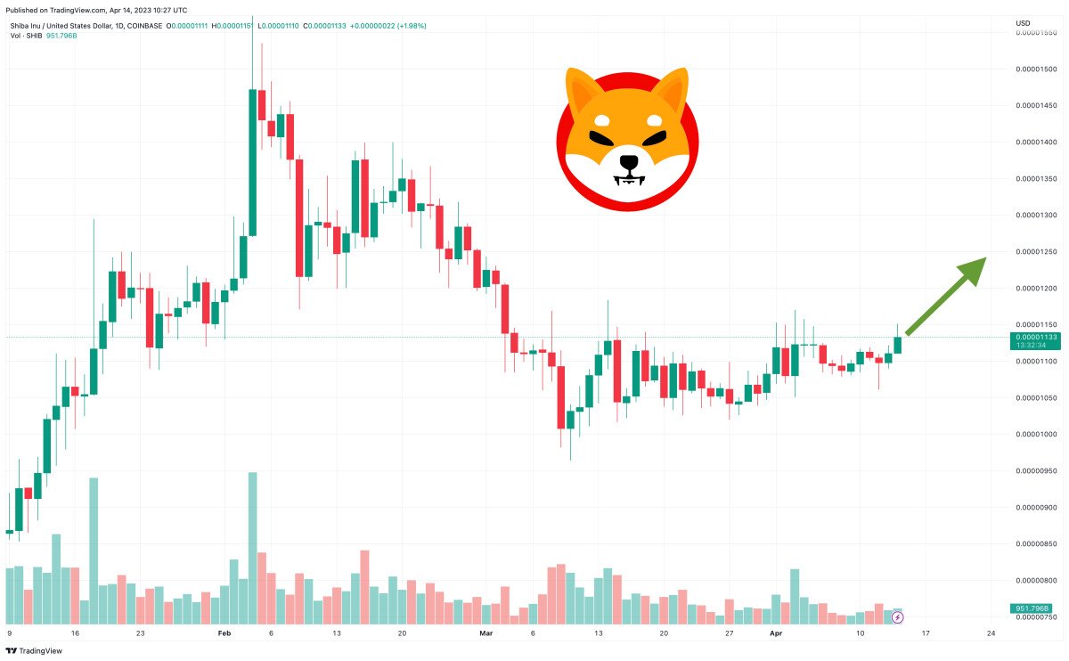 Shiba Inu Price Prediction as Elon Musk Plans to Add Crypto Trading to Twitter – Will SHIB Be Included?