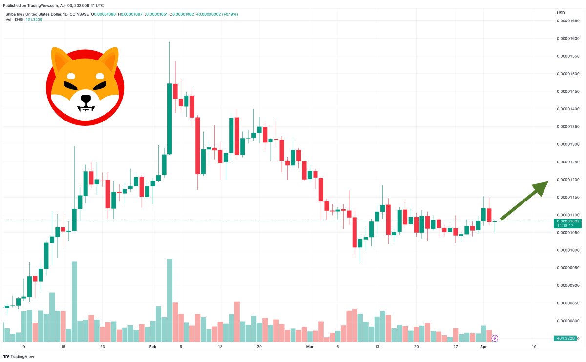 Shiba Inu Price Prediction as $300 Million Trading Volume Comes, But Crypto Whales Have Their Eyes on This Other Project