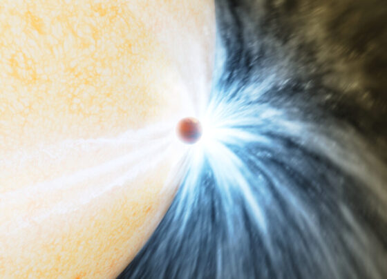 An illustration of a giant orange star eating a much smaller red planet and a giant burst of bright white dust expanding outward from the tiny planet.