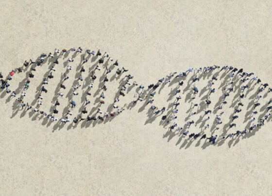 Illustration of an overhead view of people walking in lines that form the shape of the human DNA double-helix, to represent a single "pangenome".