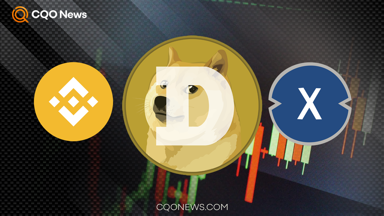 Better Days Coming For Dogecoin 💰