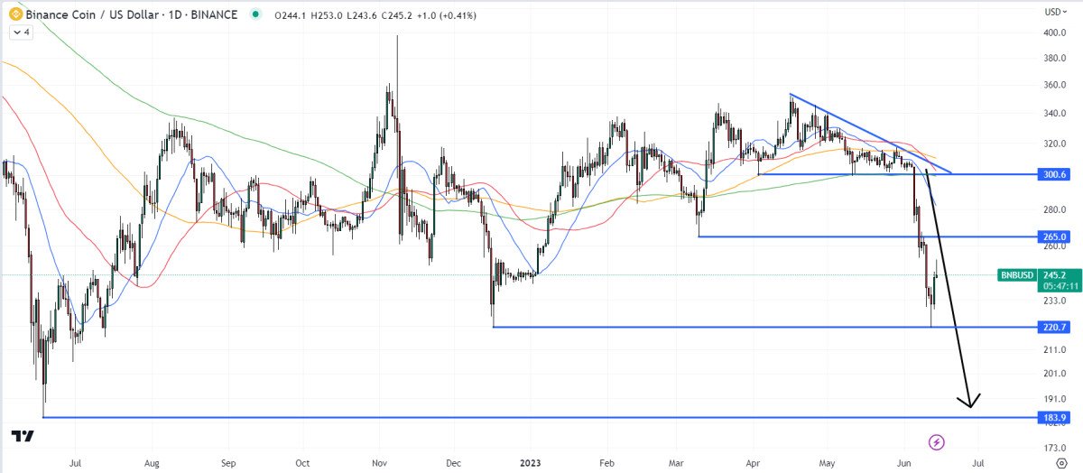 Is it Too Late to Buy Binance Coin? BNB Token Blasts Up 12% From Recent Crash and Traders Say This New AI Crypto Signals Platform May Be the Next Best Performer – Here’s Why