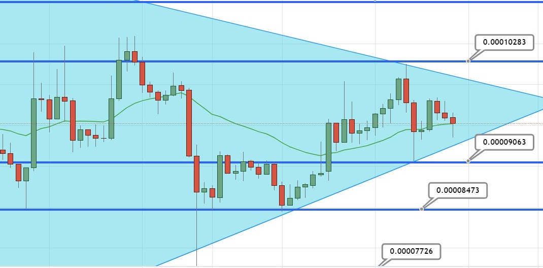 Terra Luna Classic Price Prediction as LUNC Becomes Best Performing Coin of the Day Despite Crypto Market Crash – What’s Going On?