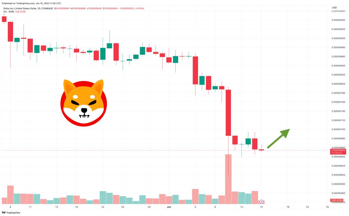 Shiba Inu Price Prediction as $100 Million Trading Volume Comes In – Are Whales Buying SHIB at This Level?