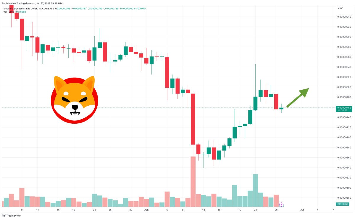 Shiba Inu Price: SHIB Falls 5% and Trading Volume Drops to $100 Million – What’s Going On?