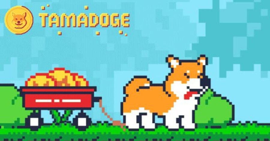 Pioneering Web3 Play-to-Earn Game Tamadoge Launches App Across iOS and Android Devices – $TAMA to the Moon?