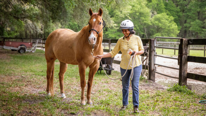 How understanding horses could inspire more trustworthy robots