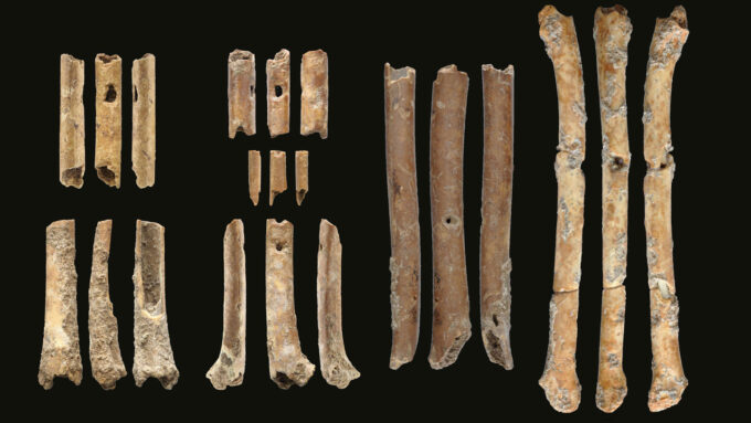 These ancient flutes may have been used to lure falcons