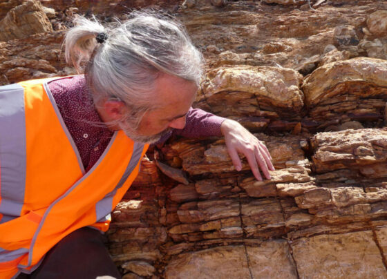 An archaeologist wearing an orange safety vest touching some rocks