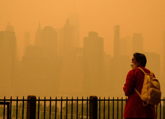 A photo of a person standing in front of the New York City skyline which is barely visible through an orange haze.