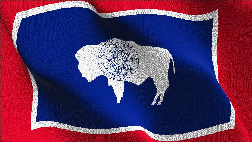 Executive Director of Wyoming’s Stablecoin Project to Earn More Than Governor Mark Gordon