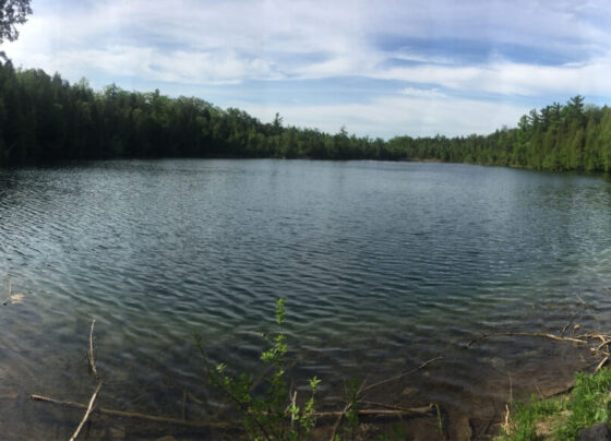 A photo of Crawford Lake with trees surrounding it.