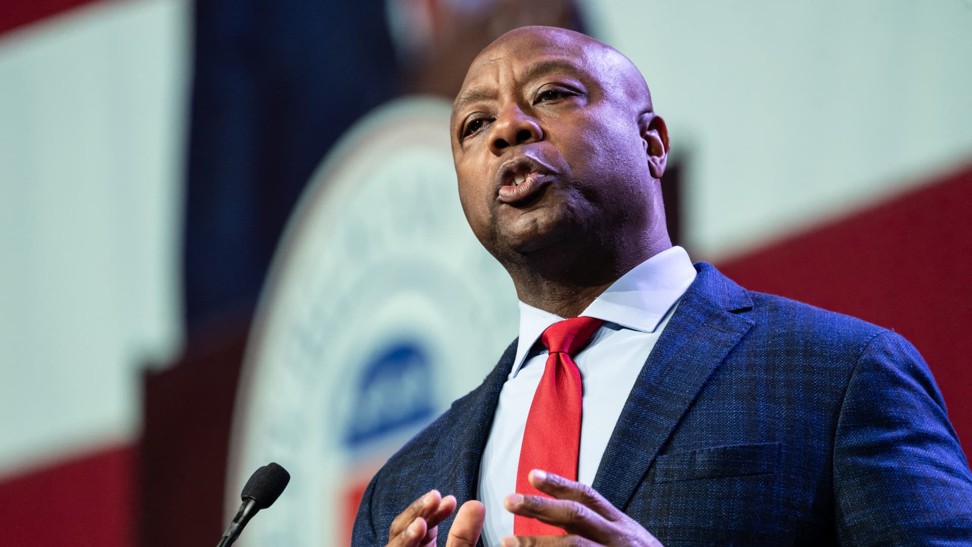 Peltz, Druckenmiller, Navarro give big to Tim Scott PACs as DeSantis falters