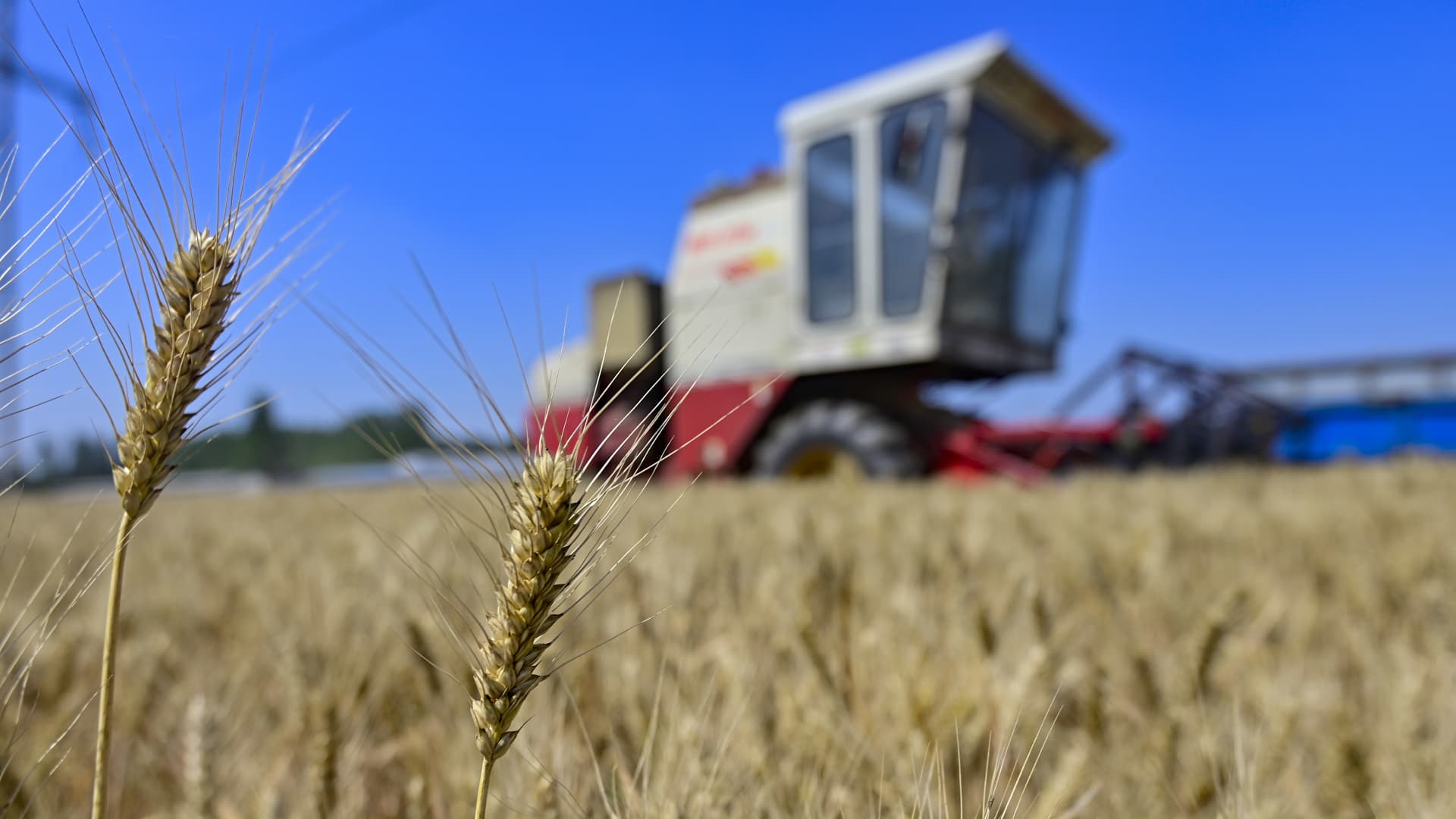 China’s the top importer of Ukrainian grain, and could save the Black Sea deal