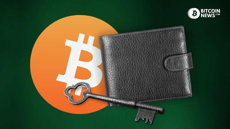 Overview of Non-Custodial Bitcoin Wallets