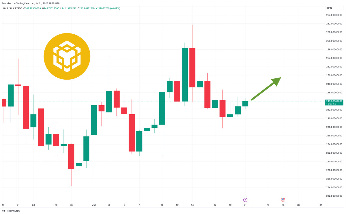 Binance Coin Price Prediction as Bulls Hold $240 BNB Level – Time to Buy?