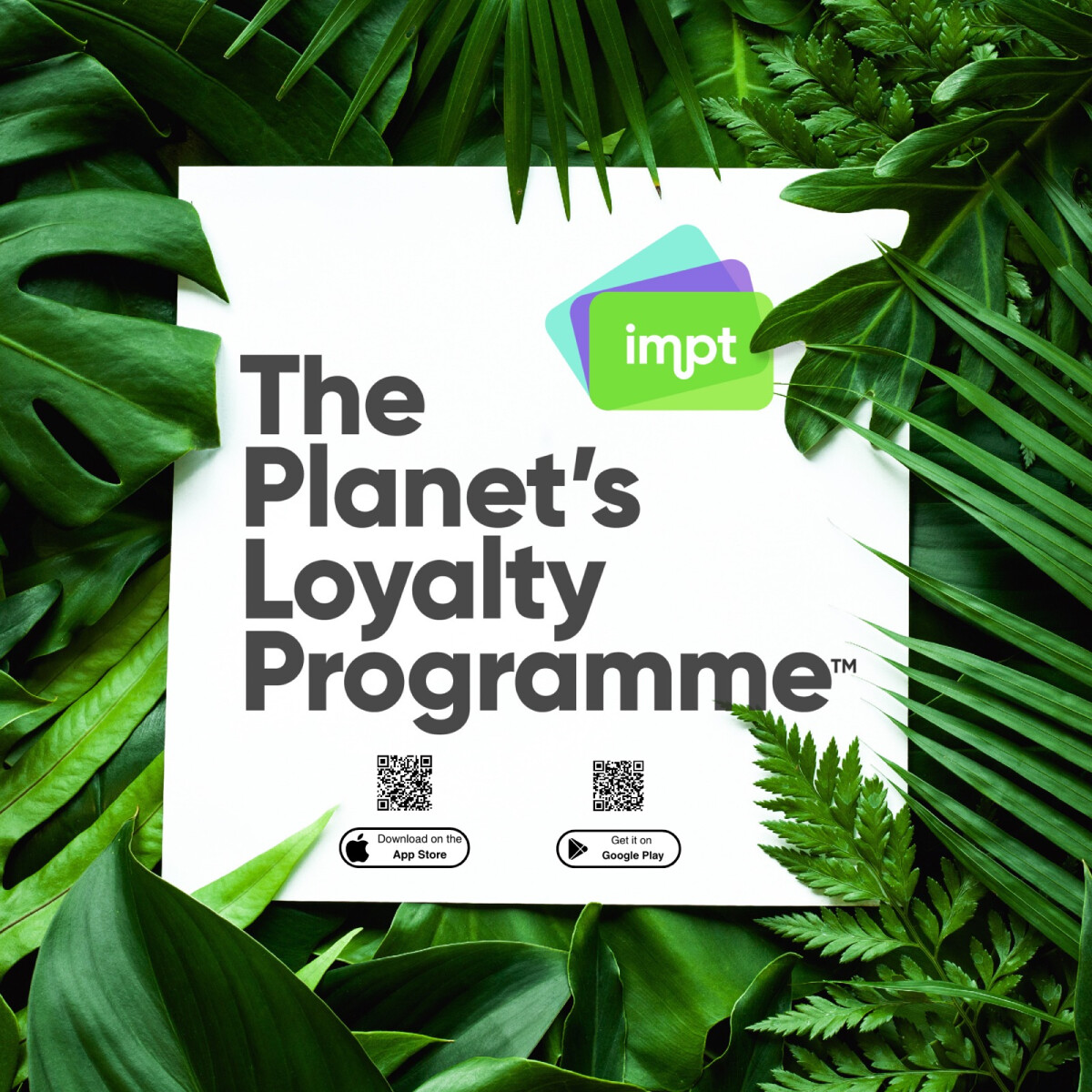 How IMPT’s New Planet’s Loyalty Program Will Help Everybody Offset Carbon Emissions and Why You Should Be Getting Involved