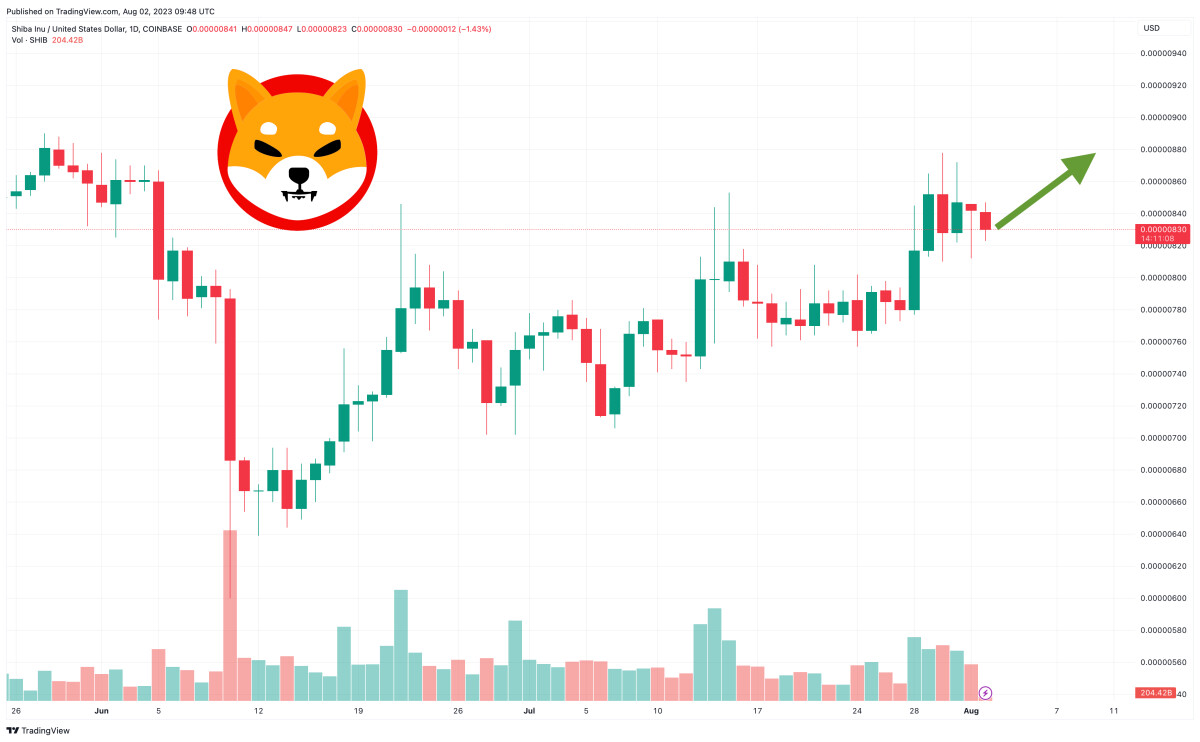 Shiba Inu Price Prediction as SHIB Dips 1% in 24 Hours – Here are Key Levels to Watch