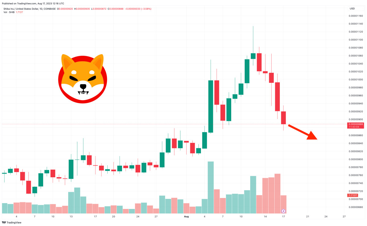 Shiba Inu Price Prediction as SHIB Drops 7.5% After Shibarium Launch – What’s Going On?