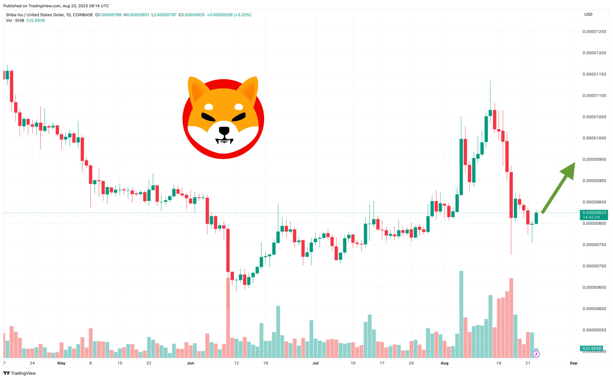 Shiba Inu Price Prediction as SHIB Outperforms the Market – Time to Buy?