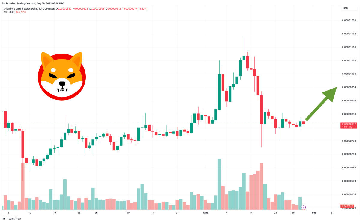 Shiba Inu Price Prediction as SHIB Spikes Up 2% – Time to Buy?