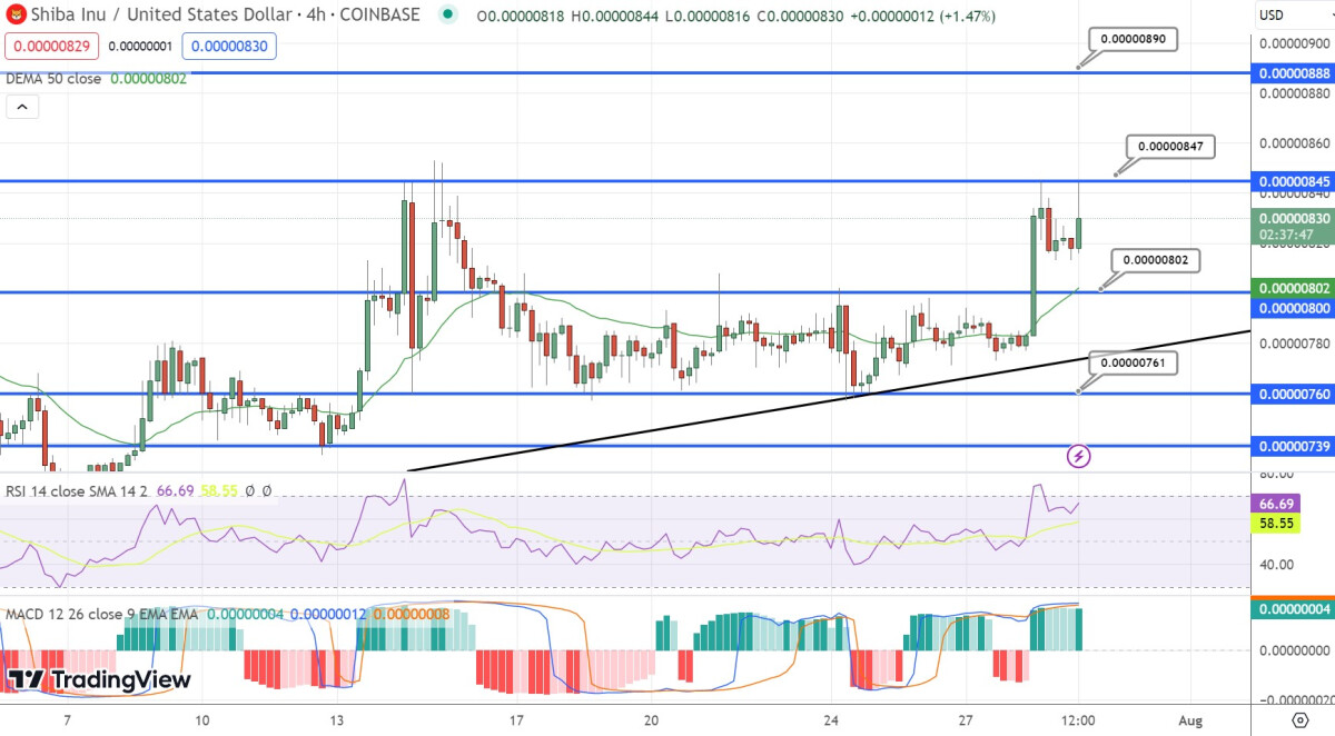 Shiba Inu Price Prediction as SHIB Becomes Best Performing Coin of the Market – Are Whales Buying?