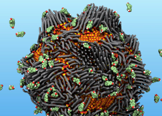 An illustration of a clump of iron oxide nanoparticles, illustrated in orange, coated with phosphonic acid, illustrated in gray. While a collection of green estrogen bits are scattered around.