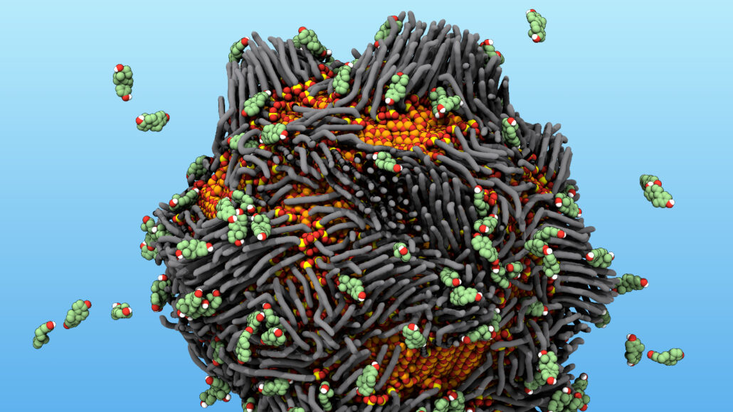 Magnetic ‘rusty’ nanoparticles pull estrogen out of water