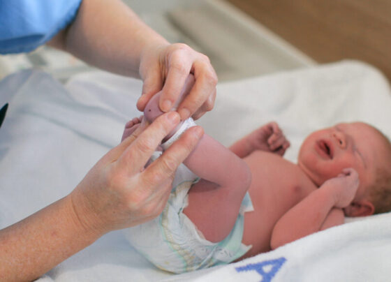 A pediatrician administers a heel prick test to check sucrose levels in a newborn baby boy after a caesarean section.