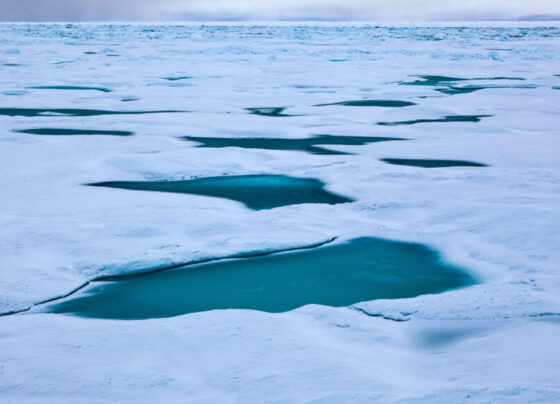 Small patches of open water and thin ice cover the Fram Strait, which lies between Greenland and Norway’s Svalbard archipelago.