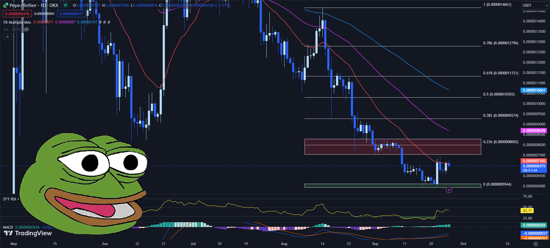 meme coin pepe price chart on tradingview