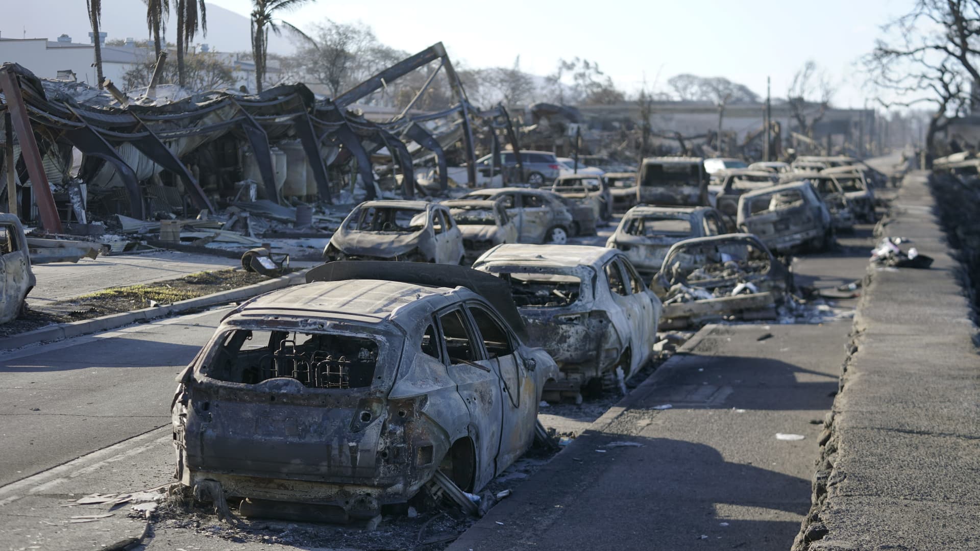 Hawaii wildfires leave dozens dead, thousands homeless in one of the worst disasters in state history