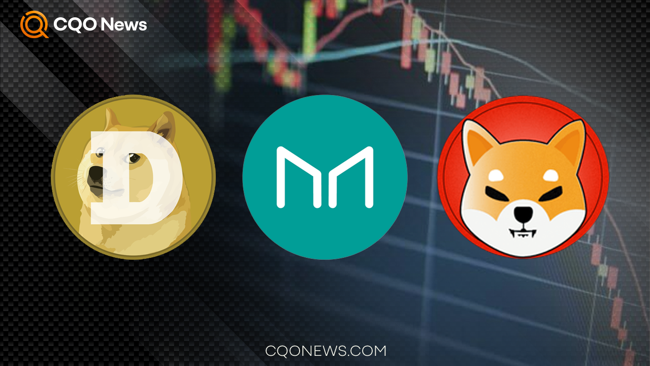 Thoughts About Dogecoin? 🐶