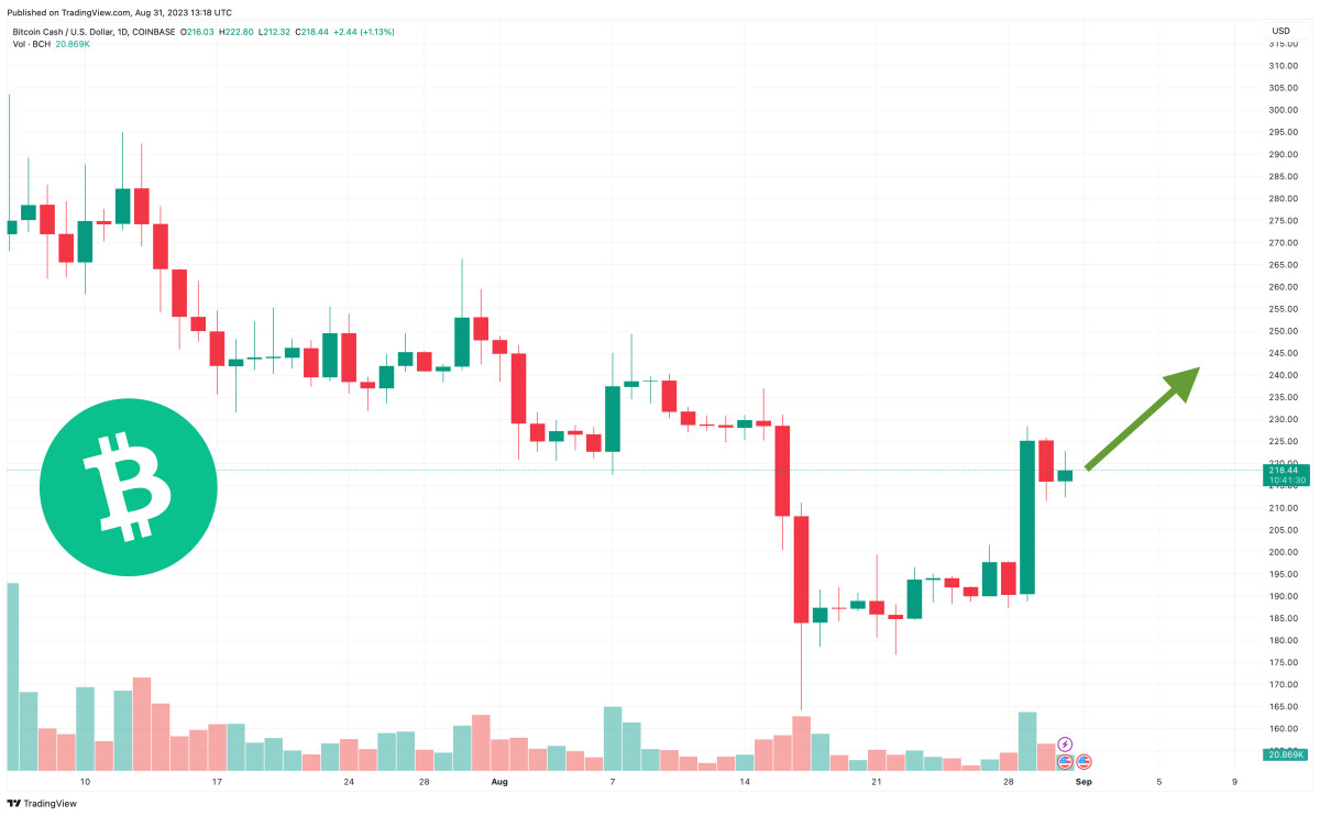 Bitcoin Cash Price Prediction as BCH Rockets Up 15% – Are Whales Choosing BCH Over BTC?