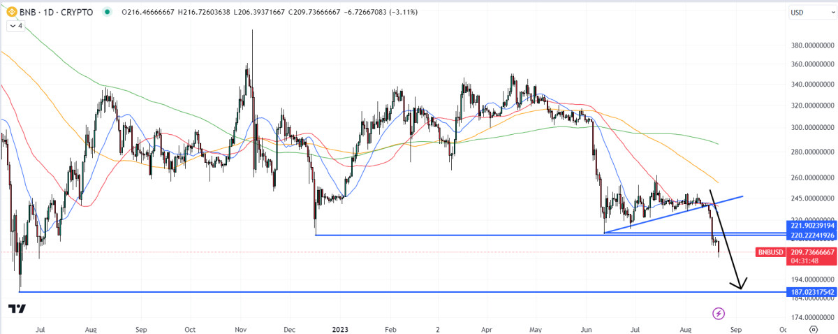 BNB Price Prediction Amid Speculation CZ Pushing to Liquidate & Burn Illegal Tokens