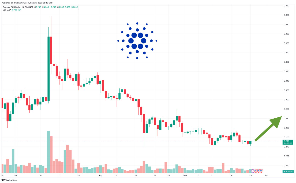 Cardano Price Prediction: ADA Jumps 0.5% – How High Can This Coin Go?