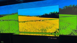 Der Samsung S95C OLED TV begeistert mit grandiosen Farben und knackigen Kontrasten