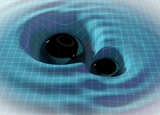 Illustration of two black spheres orbiting in a grid with ripples that represent gravidational waves