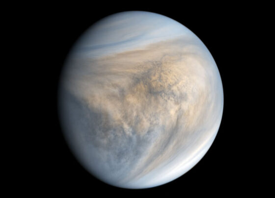 An image of Venus.