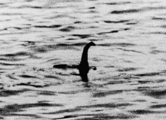 A 1934 photo supposedly of the Loch Ness Monster.